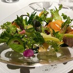 レフェルヴェソンス - 