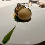 レフェルヴェソンス - 