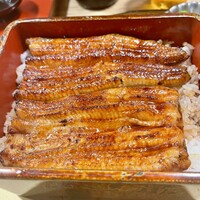 うなぎ 目白ぞろ芽 - 