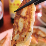 元祖ハルピン - 全長12cmほど