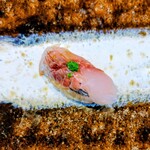 THE SUSHI TOKYO 旬 - アジ(食べ放題最初の11貫)