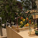 カフェフェルマータ - 