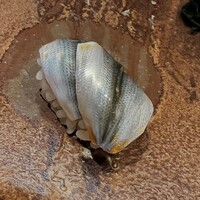 神楽坂 鮨 りん -  神楽坂 鮨 りん -