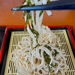 さぼてん - 