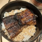 天鰻 - 