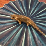 旬彩天 つちや - 