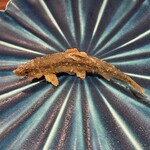 旬彩天 つちや - 