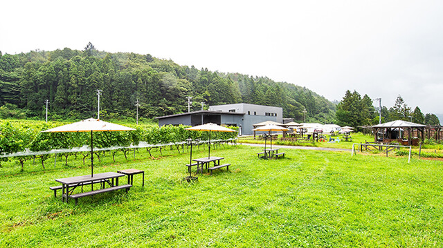 秋保ワイナリー（Akiu Winery） - 仙台市太白区その他（その他）の写真