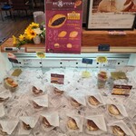 Coccinelle - 