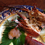 和匠よし乃 - 伊勢海老アップ