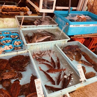 シェフは新鮮な魚を求め佐島港まで早朝行っております