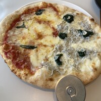 CODA ROSSA - 