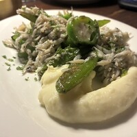 シャイニーアウル 表参道 - 