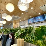 ⼿打ちと創造 はなまるうどん - 店内_2025年8月