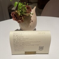 SINAE - 