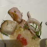 代官山ASO チェレステ - リゾットと鯛