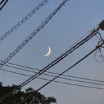 焼きもの家 慶 - 