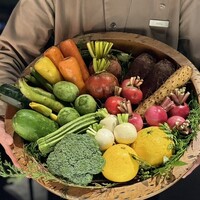 レフェルヴェソンス - 