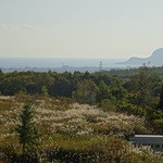 ベランダからの景色①