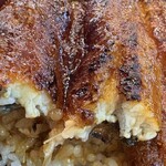 炭焼うなぎ 加茂 - 