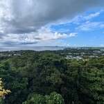 亜熱帯茶屋 - 景色