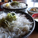 きむら - 生しらす、釜揚げしらすのハーフ丼