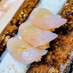 THE SUSHI TOKYO 旬 - カンパチ食べ放題おかわり3貫アップ