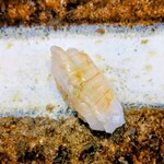 THE SUSHI TOKYO 旬 - ヒラメえんがわ食べ放題おかわり特別メニュー