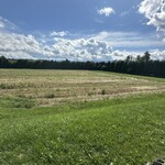 ビブレ ブーランジェリー - 