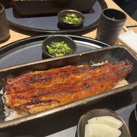 うなぎ四代目菊川 ヒルトンプラザウエスト大阪店 - 