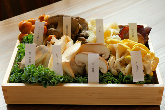 TOKYO TANG TANG （トーキョー タン タン）のご予約 - 外苑前/火鍋