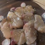 スポルカチョーネ - 