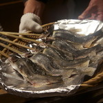 柳家 - 雄の鮎をちょっと