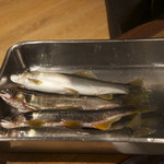 柳家 - 上が子持ち鮎、下が雄の鮎