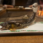 柳家 - 長良川の天然鮎　雄鮎　塩焼き