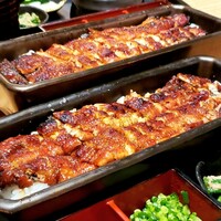 うなぎ四代目菊川 ミッドランドスクエア 名古屋本店 - 