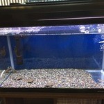 うなぎ亭 友栄 - 