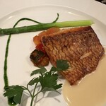 ルヴェール - ◉ 伊勢湾産 鯛のポワレ
      　ラタトゥイユ添え
      　貝のエキスと白ワインのソースで…