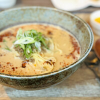 CINA New Modern Chinese - 