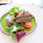 鉄板フレンチ キャトル・セゾン MORI - 