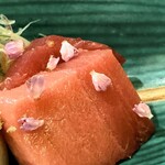 ひろ作 - 本鮪さんでーす。