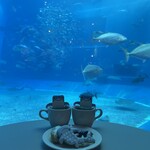 オーシャンブルー - 