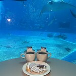 オーシャンブルー - 