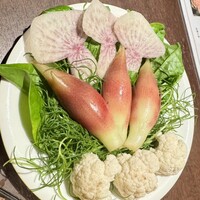 シャングリラズシークレット 北新地店 - 