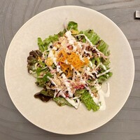 Jose Luis - 彩り野菜とキヌアのサラダ 根セロリとレモンのドレッシング