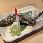 魚まみれ眞吉 - 
