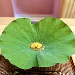 緒方 - 島根県高津川のすっぽん　天草産赤雲丹