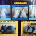 スラッピーキャット - 成猫はムリかなぁ!？