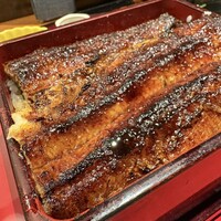 炭焼 うな富士 有楽町店 - 