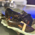 大阪 京橋 鉄板焼 ステーキ 玄牛 - 